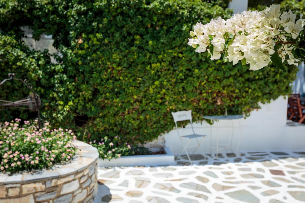 Tzane Studios & Apartments - Steps Away From Golden Beach 흐리시 악티 외부 사진
