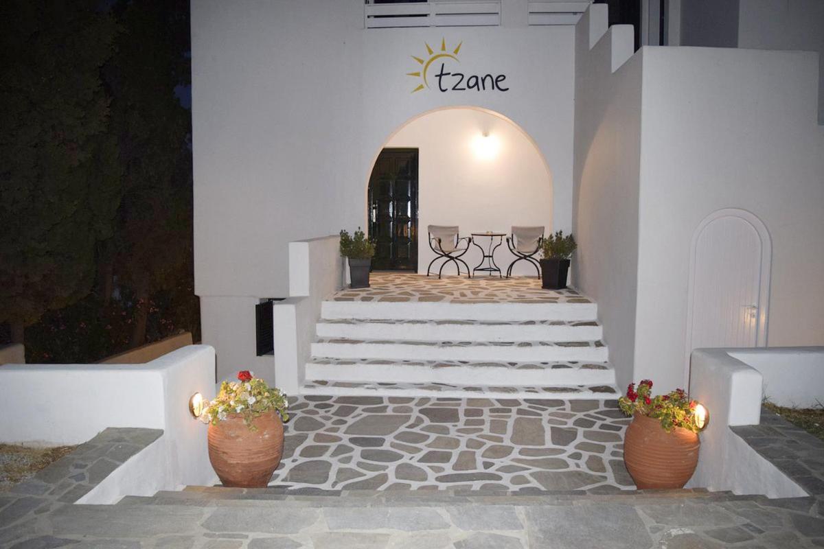 Tzane Studios & Apartments - Steps Away From Golden Beach 흐리시 악티 외부 사진