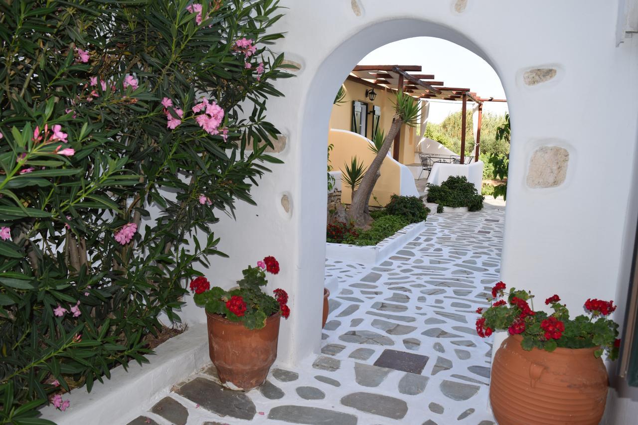 Tzane Studios & Apartments - Steps Away From Golden Beach 흐리시 악티 외부 사진